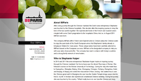Ik maakte een website voor een wijnimporteur