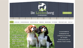 Hondenpensions verdienen ook een mooie website